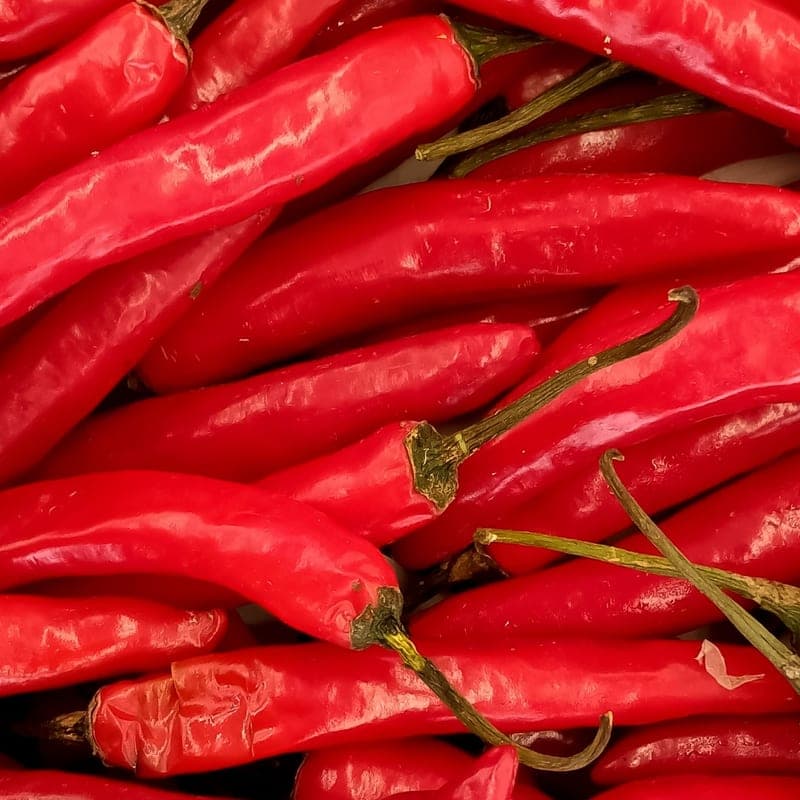 Chili