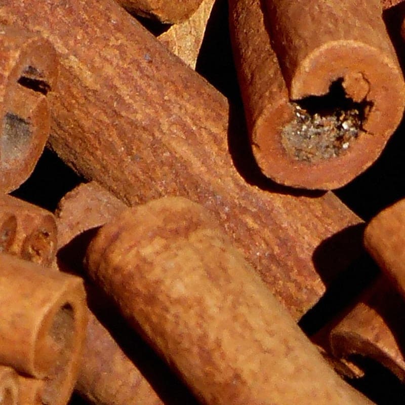 Ayurvedic spices
