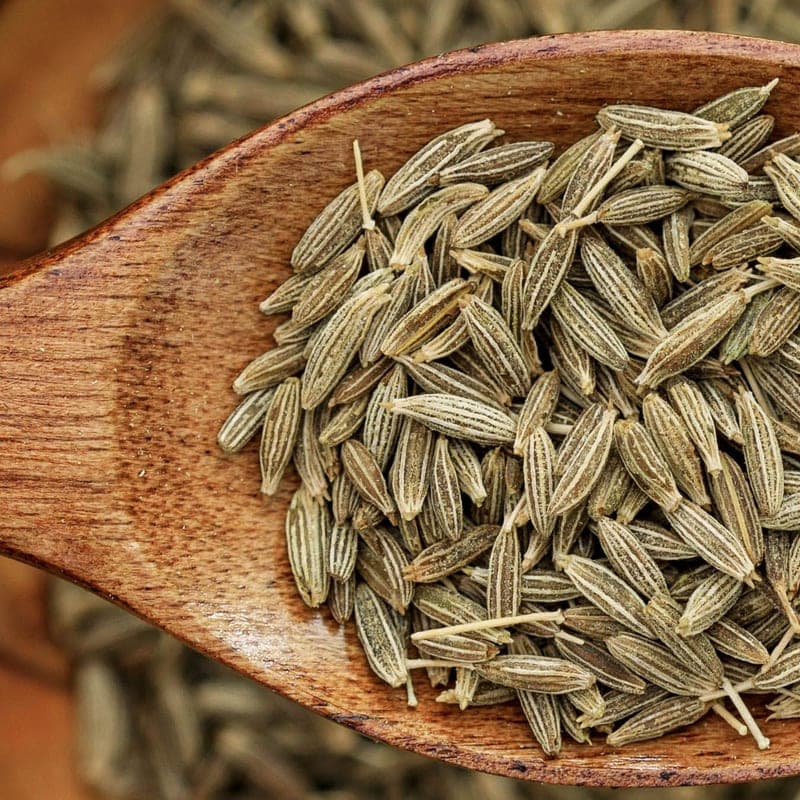 Kreuzkümmel